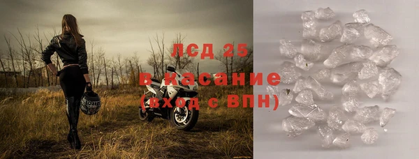 сатива Армянск
