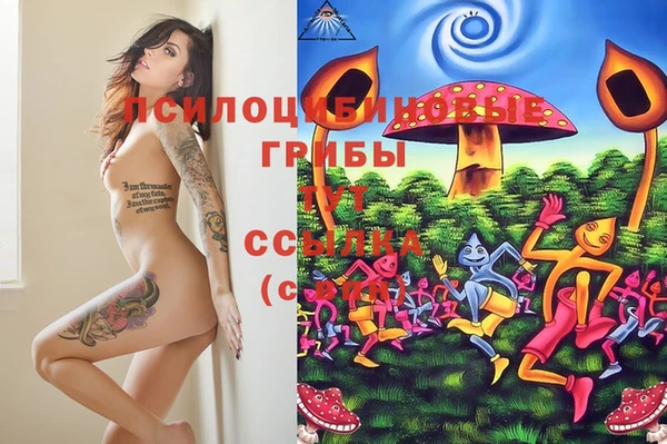 метадон Аркадак