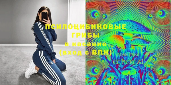 тгк Арсеньев